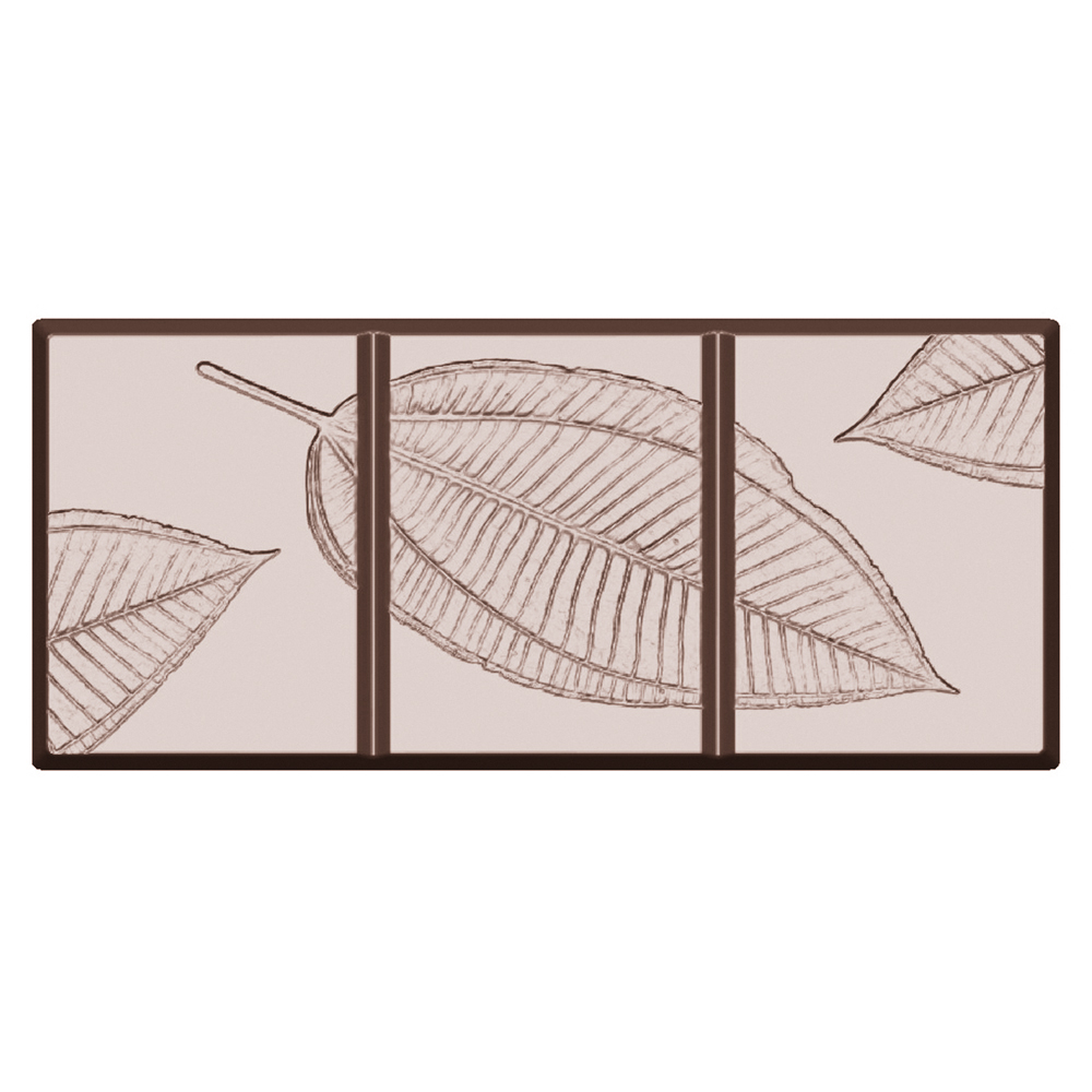 Form till gjutning av chokladkakor med kakaofrukter